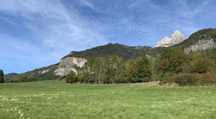 Votre terrain dans un cadre bucolique sur les coteaux de Sallanches ! 0m² - 226000€ - 3